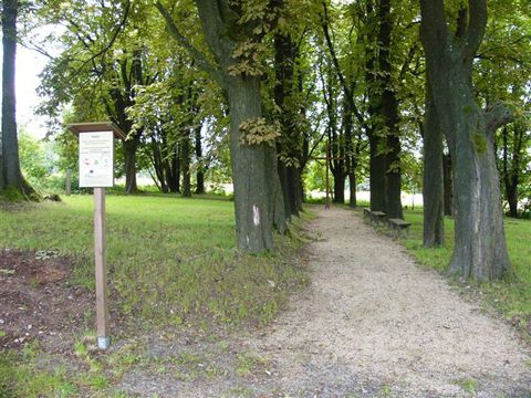 Foto 22